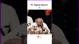 Pt Yogesh Samsi Ji Tabla Solo Snippet 🙏 icmtabla indian classical music shorts [upl. by Holder]