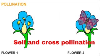 Pollination in Plant  Self pollination and cross pollination  Parts of flower Science explanation [upl. by Traci]