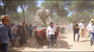 4K MIÉRCOLES DE ROMERÍA  HDAD ROCIO SANLUCAR DE BARRAMEDA 2024 [upl. by Reginald]