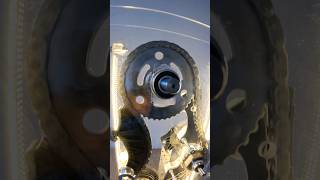 how the timing chain mechanism works shorts [upl. by Retsel]