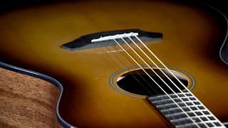 Breedlove Guitars Discovery Concerto SB [upl. by Jecoa]