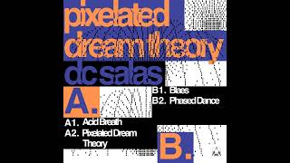 DC Salas ─ Pixelated Dream Theory [upl. by Phipps]