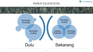 Analisis Molekuler Biologi  SBMPTN UN SMA [upl. by Craner770]