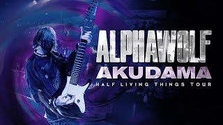 Alpha Wolf  Akudama Live at Roseville CA [upl. by Deraj]