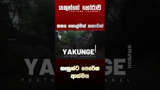 Sinhala holman katha  සිංහල හොල්මන් කතා [upl. by Mendelsohn]