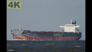 ROLAND OLDENDORFF  Shipspotting Germany 🇩🇪 IMO 9463633  River Elbe near Otterndorf  4K VIDEO [upl. by Anaujal]