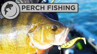 How To Set Up a Lure for Perch Fishing [upl. by Chisholm]