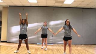 Wofford College Cheerleading DVD Material Part 2 [upl. by Seuqirdor]