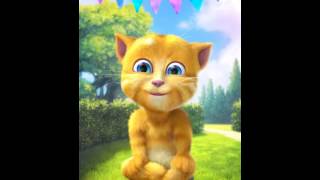 Ginger cat fart [upl. by Senilec]