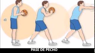 FUNDAMENTOS DEL BALONCESTO [upl. by Namaan]