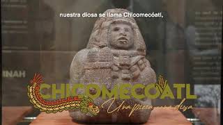 Chicomecóatl Una pieza una diosa En el Museo Comunitario Culhuacán [upl. by Sivartal889]