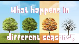 What happens in different seasons [upl. by Lemmie]