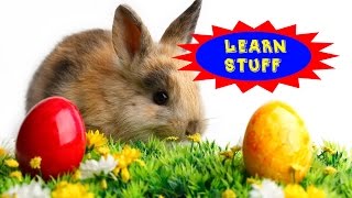 Learn Stuff Ep 2  Why Does Easter Always Change Dates [upl. by Chaney]