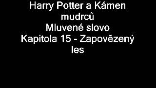 Harry Potter a Kámen mudrců Mluvené slovo JLábus  Kap 15  Zapovězený les [upl. by Kissie]