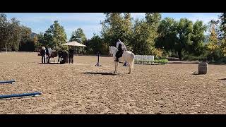 Ease of Handling  El Campeon Working Equitation show day 2  Masters Level 7 [upl. by Hackney6]