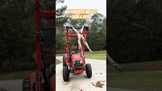 Tractor  Winch  golfball  time  my favorite way to skin a deer deerhunting homestead diy [upl. by Ititrefen]