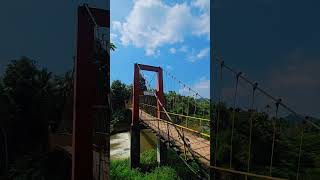 Hanging bridge Vennakkad Padanilam Calicut [upl. by Hitoshi]