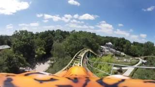 TIGRE DE SIBERIE  Le PAL  GFcoaster VR [upl. by Aiht]