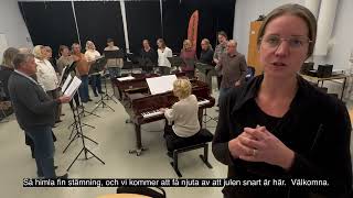 Julkonsert med Johan Stengård och Viseversa [upl. by Korwin]