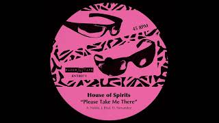 Tom Noble presents House Of Spirits  Please Take Me There RazorNTape [upl. by Kirbee177]