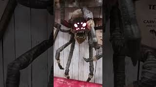 Wendy WebbWorth 6 Ft Giant Animatronic Spider [upl. by Trabue503]