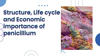 Unit 92 Penicillium Structure Life cycle and Economic importance tscmavisecond paperscience [upl. by Ila791]