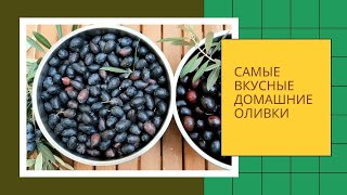 👍Самые вкусные домашние оливки Универсальный рецепт И ТРИ супермаринада на любой вкус🙂 [upl. by Amling]