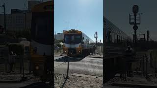 Stony Point train outside Frankston 13112024 Railway [upl. by Maiocco894]