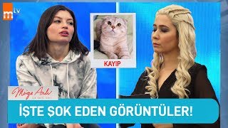 HAYATI TELEVİZYON PROGRAMI GİBİ YAŞAMAK [upl. by Prakash]