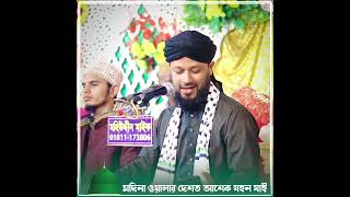 মদিনা ওয়ালার দেশত আশেক যহন যাই  Nayem Reza Qadri  Bangla Waz [upl. by Ligetti418]