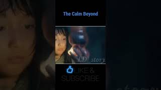 The Calm Beyond Movie Explained in Hindi LDstory [upl. by Nomolas]