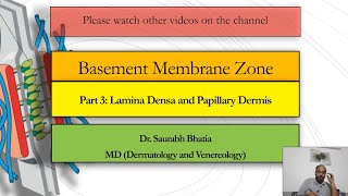 Basement Membrane Zone BMZ Part 3  Lamina Densa and Papillary Dermis [upl. by Restivo]