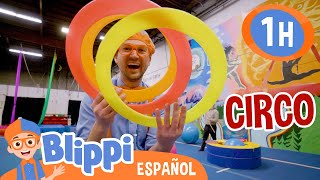 Blippi aprende acrobacias en el circo🎪 Blippi Español  Videos educativos  Aprende y Juega [upl. by Kletter]