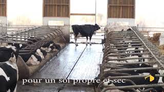 Stabulation bois pour vaches laitières avec sols innovants en Alsace [upl. by Thom338]