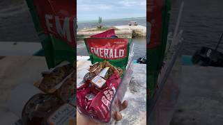 Life saving boat snacks munchies fishing snacks honey candy [upl. by Adriaens]