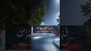 Surah Alam Nasrah video islamicquotes viralvideo motivation shortvideo viralvideo shortsviral [upl. by Lalib]