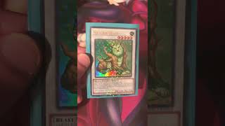 Naturia Beast yugioh yugiohtcg naturia beast [upl. by Ytram]