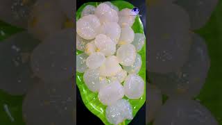 Ice Apple  Nungu  Tadgola  Taati Munjalu  Lakshmi Prabhu Vlogs [upl. by Rodi132]