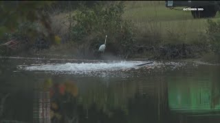 Rockdale sheriff sends letter to businesses saying they must stay inside due to high chlorine levels [upl. by Gnof983]