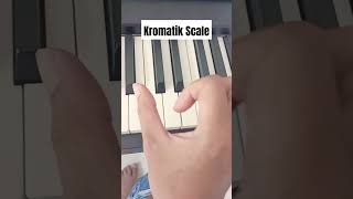 tips cek kondisi tuts piano dengan kromatik scale [upl. by Rodenhouse397]