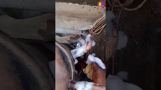 Ac compressor gas leak repair Part 2 [upl. by Dikmen318]