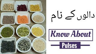 Know about Pulses  Pulses Names  دالوں کے نام  Daaloun Ki Pehcnan  Pakistani Pulses Names [upl. by Adriaens]