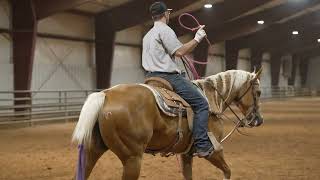 Hitting the rodeo trail on futurity horses [upl. by Harvard]