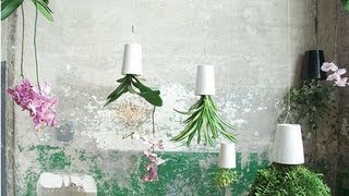 BOSKKE  Sky Planter [upl. by Aiva]