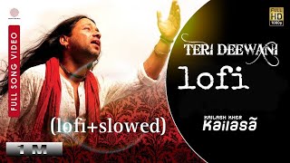 TeriDeewanilofislowed kailash kher song kailasa2007 lofibollywood lofimusic [upl. by Huskey938]