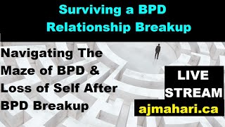 BPD Ex Surviving BPD Relationship Breakup QampA [upl. by Dominick942]