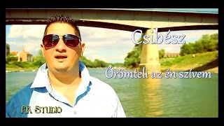 ► Szolnoki Csibész Örömteli az én szívem ZGmusic [upl. by Porter]