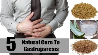 5 Home Remedies for Gastroparesis  By Top 5 [upl. by Eaned516]