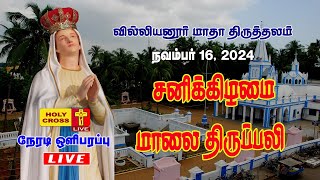 LIVE  Evening Holy Mass  16 Nov 2024  Villianur Lourdes Shrine  Holy Cross Tv  Daily Tv Mass [upl. by Ahsilahs920]