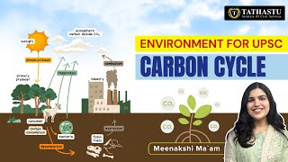 Biogeochemical Cycles Carbon Cycle Environment amp Ecology Series Meenakshi Maam tathastuics [upl. by Graf]